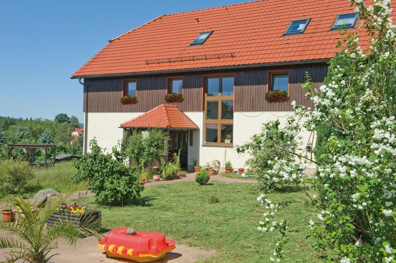 Ferienpension Gabriele 15 Kurort Gohrisch Ngoại thất bức ảnh